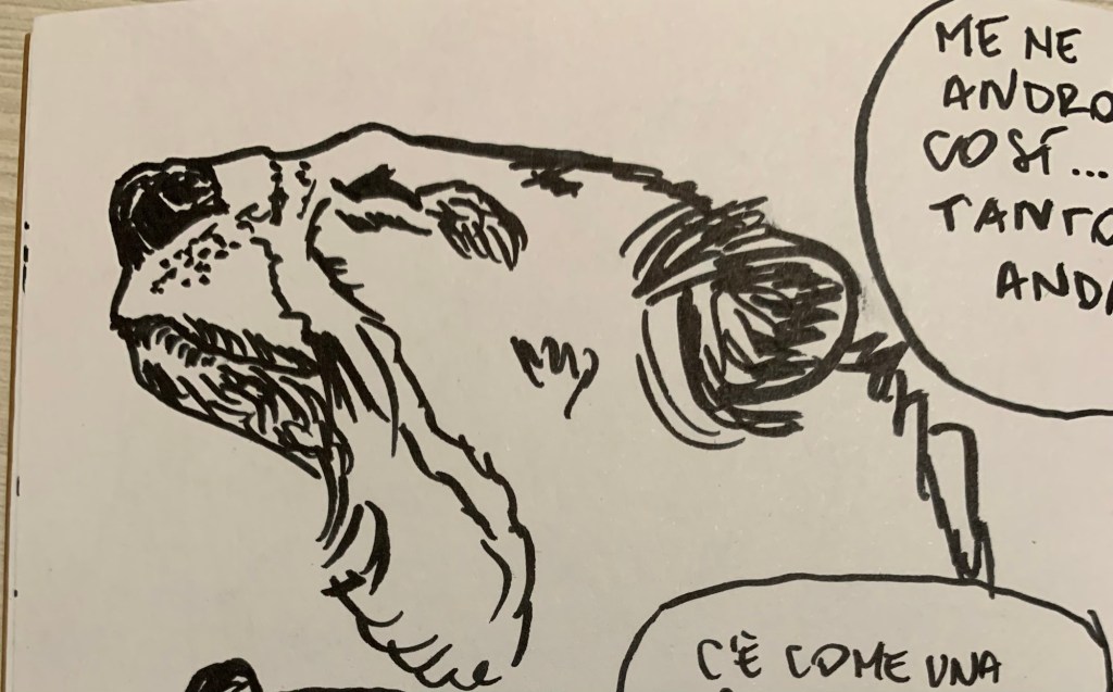 The last few&nbsp;months